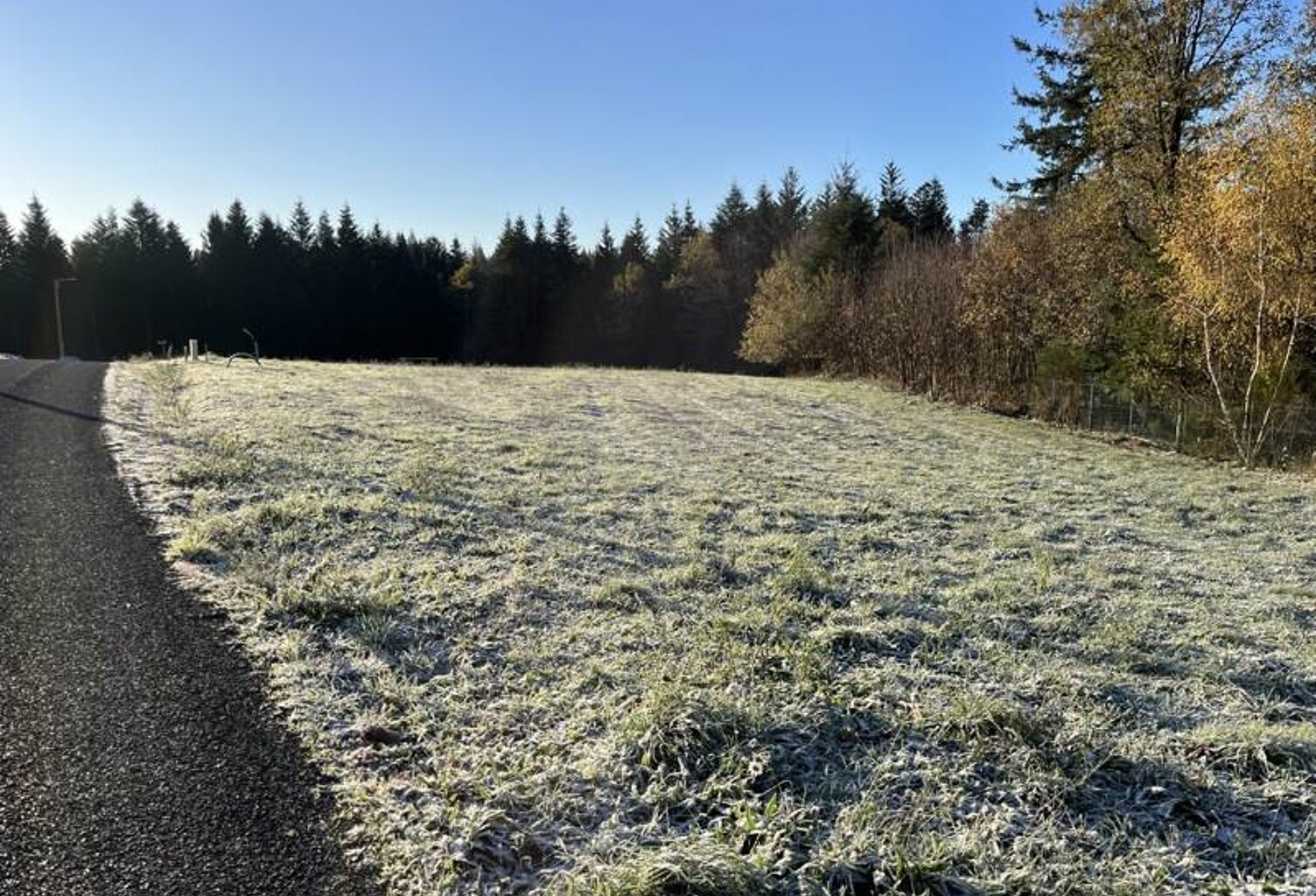 Vente terrain  1793 m² Palazinges (19190) — photo 1