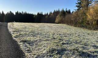 Terrain  1793 m² à vendre à Palazinges (19190)