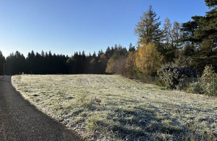 Vente terrain  1793 m² Palazinges (19190) — photo 3