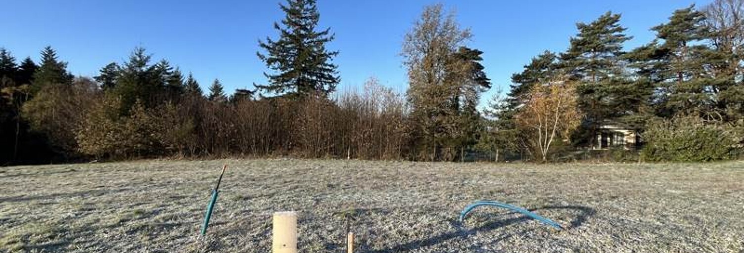 Terrain  1602 m² à vendre à Palazinges (19190)