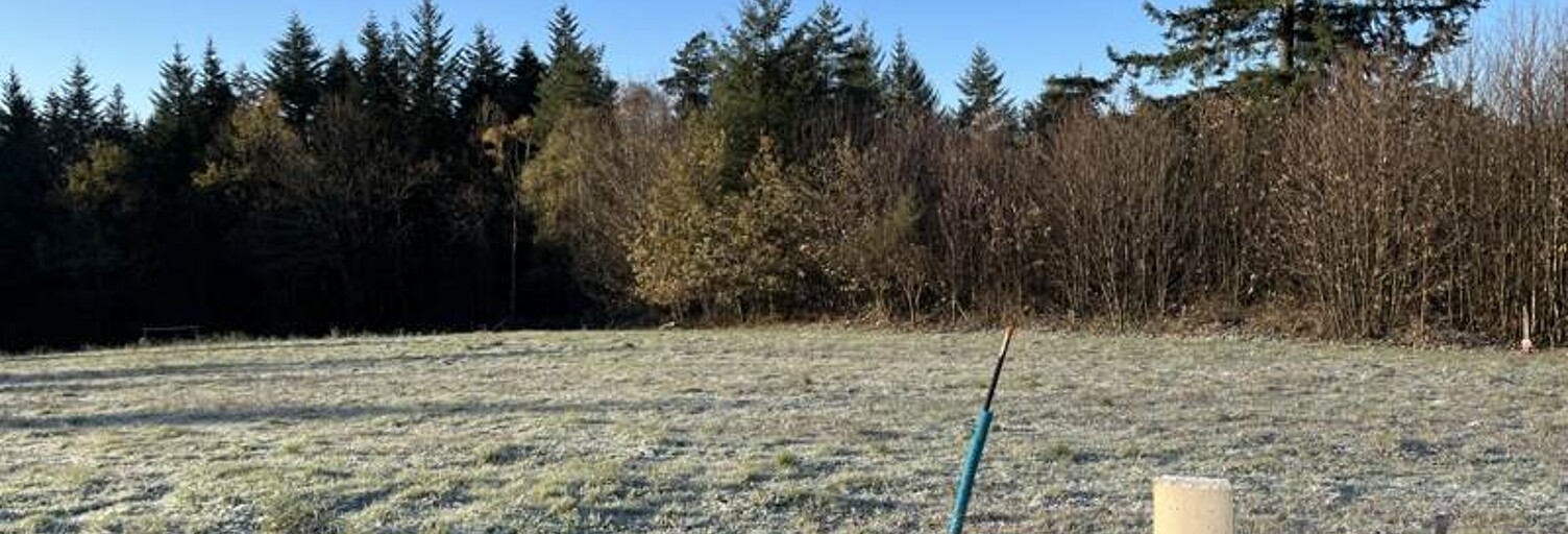 Terrain  1602 m² à vendre à Palazinges (19190)