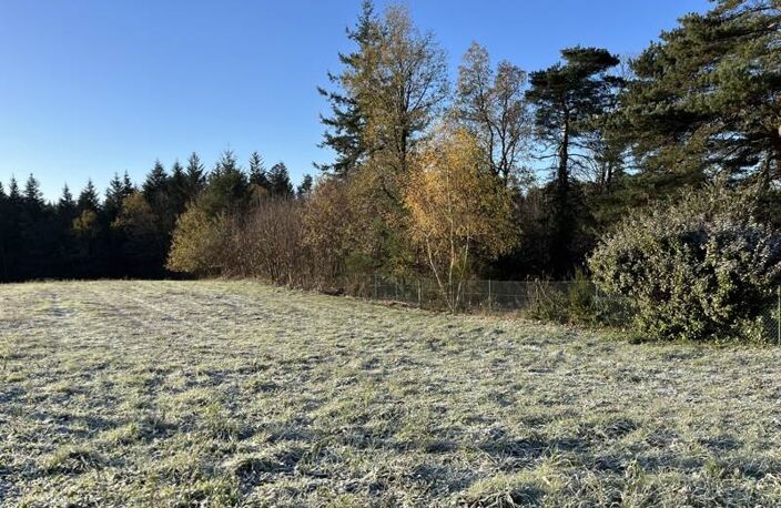Vente terrain  1602 m² Palazinges (19190) — photo 2