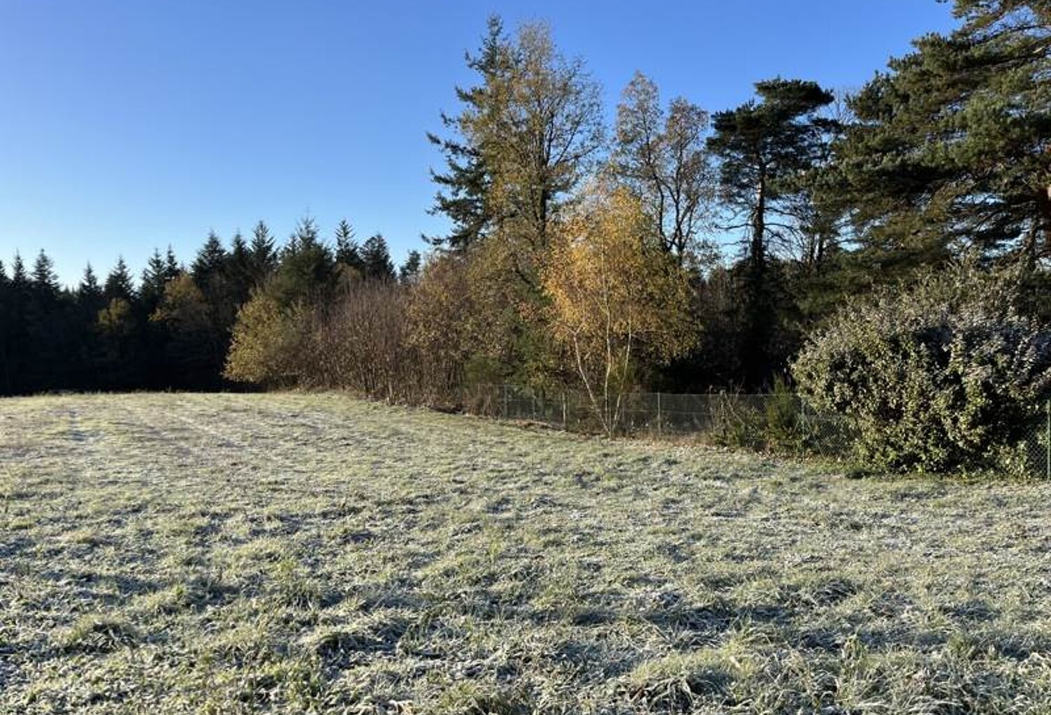 Vente terrain  1680 m² Palazinges (19190) — photo 1