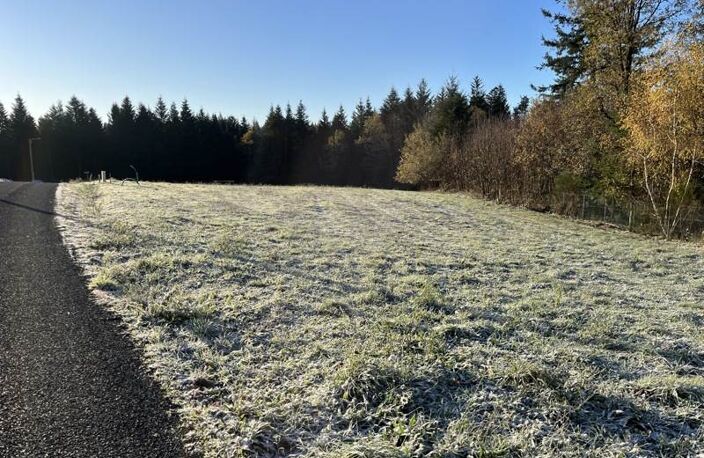 Vente terrain  1680 m² Palazinges (19190) — photo 2