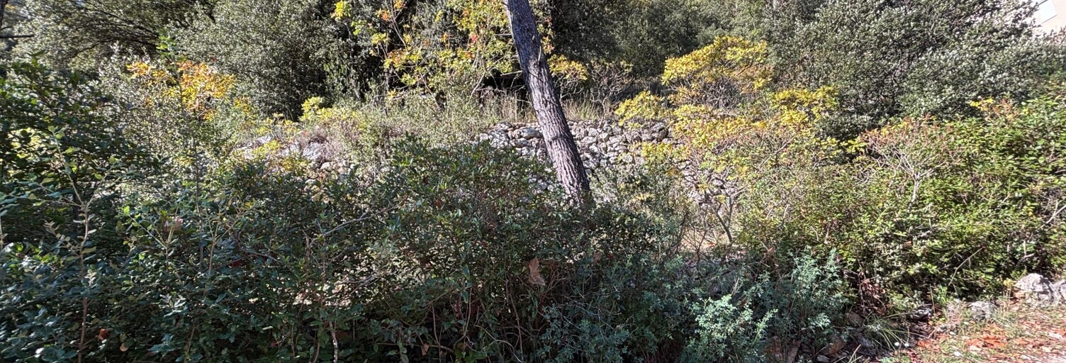 Terrain  7911 m² à vendre à Méounes-lès-Montrieux (83136)