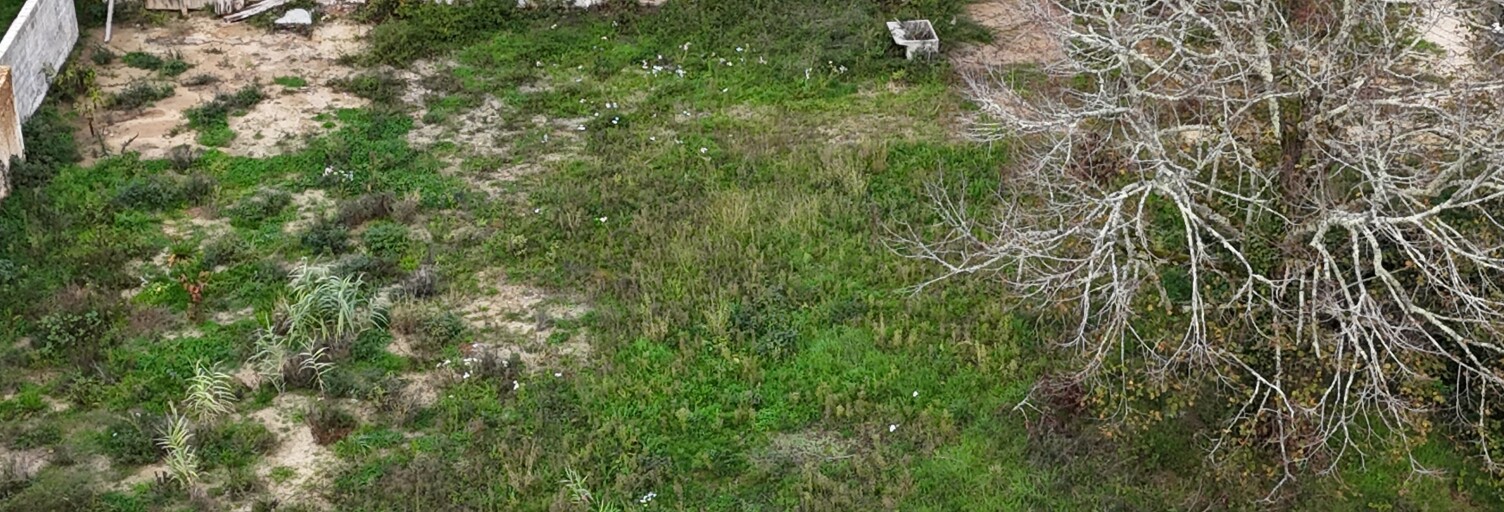 Maison 5 Pièces 115 m² à vendre à Cercoux (17270)