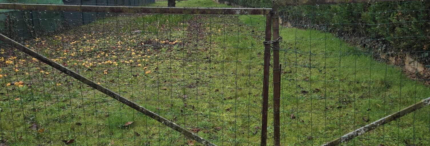 Terrain  905 m² à vendre à Gron (89100)