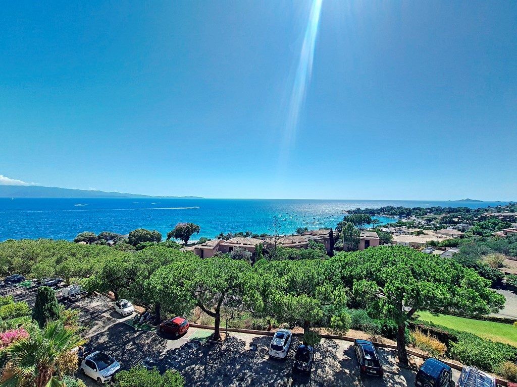 Appartement  T1 à louer Ajaccio 20000