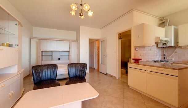 Appartement 1 pièces  à louer Ajaccio 20000