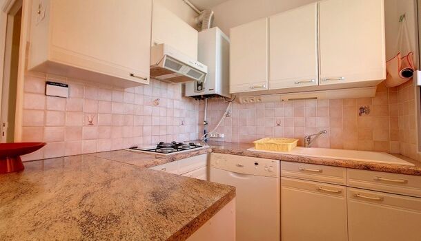 Appartement 1 pièces  à louer Ajaccio 20000