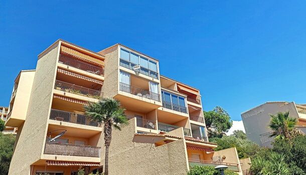 Appartement 1 pièces  à louer Ajaccio 20000