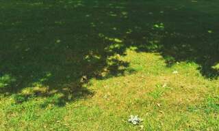 Terrain  507 m² à vendre à Andernos-les-Bains (33510)