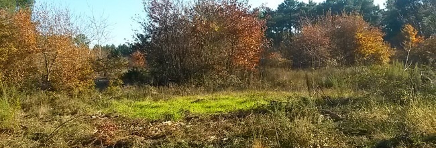 Terrain  493 m² à vendre à Brach (33480)