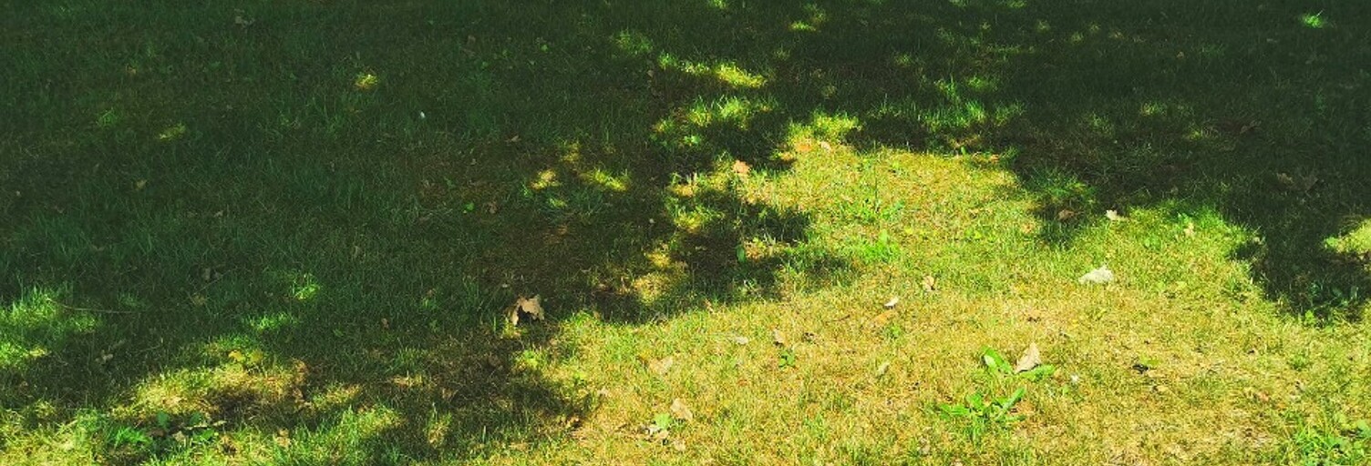 Terrain  605 m² à vendre à Mios (33380)