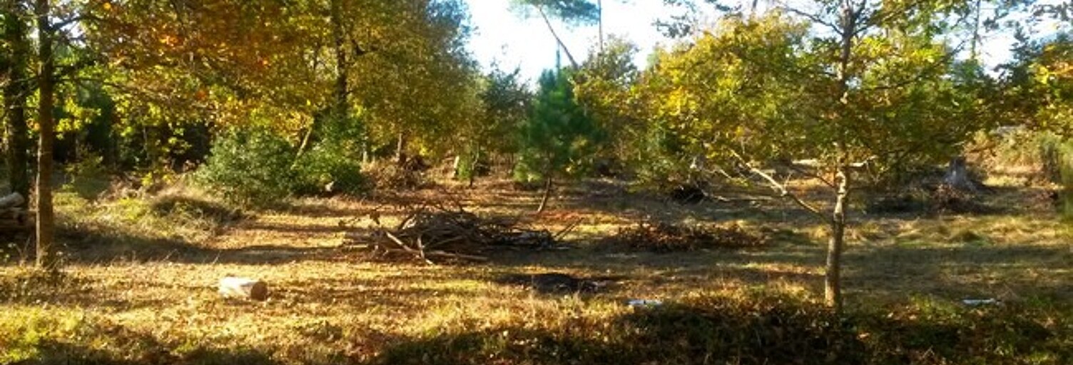 Terrain  670 m² à vendre à Mios (33380)