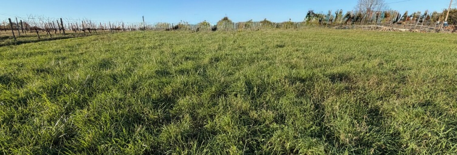 Terrain  560 m² à vendre à Capian (33550)