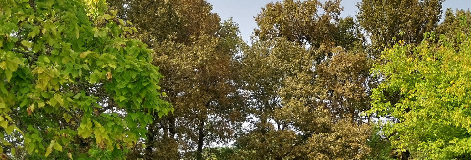 Terrain  1570 m² à vendre à Créon (33670)