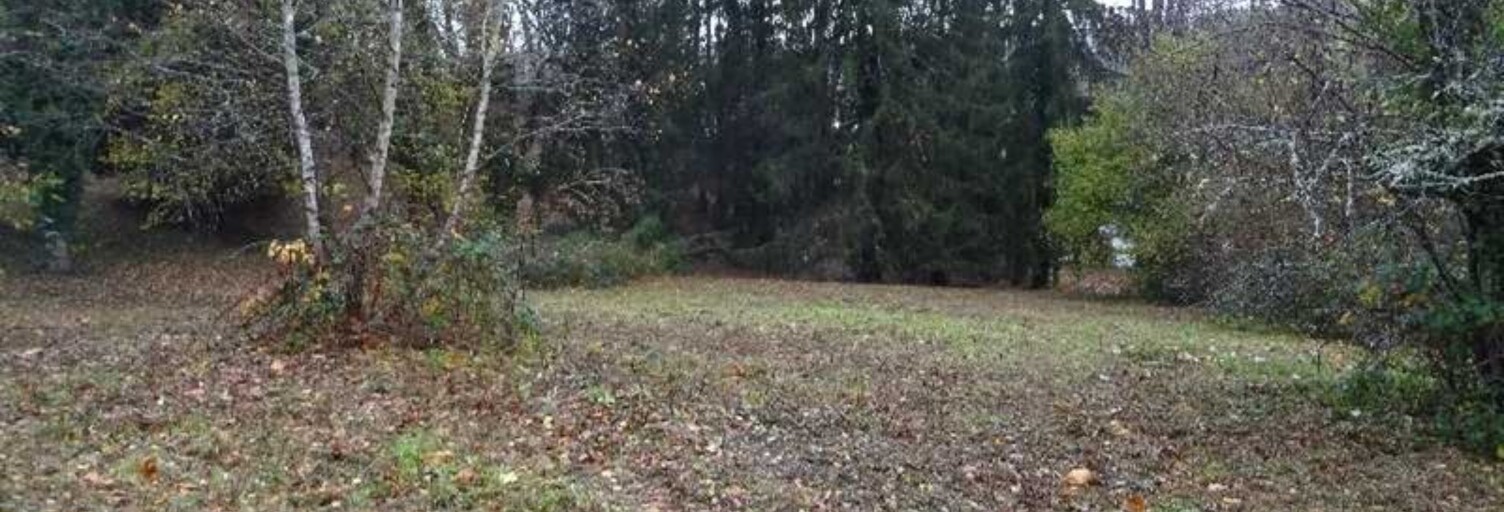 Terrain  8182 m² à vendre à Panazol (87350)