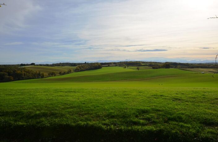 A vendre, Montesquiou (Gers): maison de plain-pied 3 chambres au calme, à la campagne et face aux Pyrénées avec garage, autres dépendances et jardin de 2 724m² — photo 4