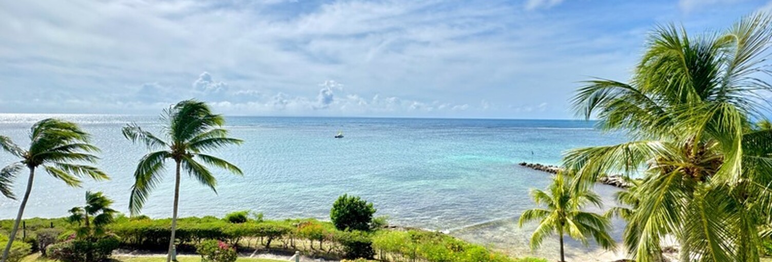 Appartement 4 Pièces 134 m² à vendre à Saint-François (97118)