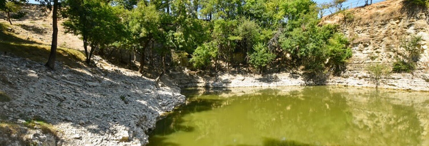 Maison 216 m² en viager Surgères (17700)