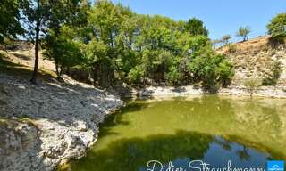 Maison 216 m² en viager Surgères (17700)