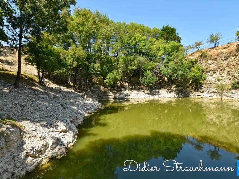 Vente à terme Propriété SURGERES (17) — photo 1