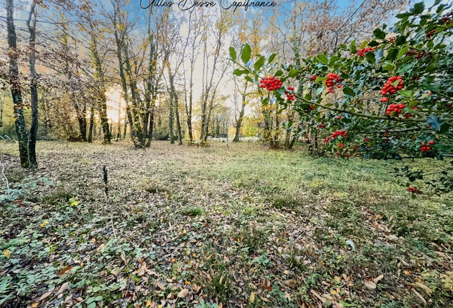 Terrain à vendre  LA CHAPELLE GONAGUET (24) — photo 1