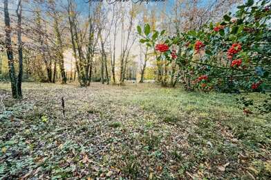 Terrain  39000 €
