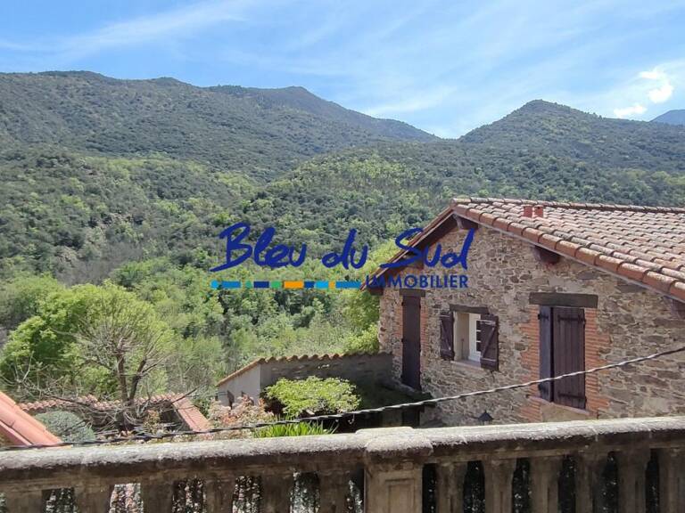 Maison de village avec grande terrasse — photo 1