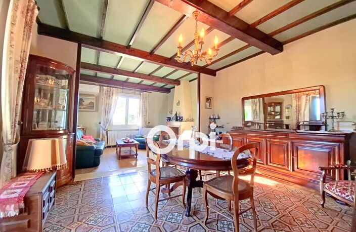 MAISON VIGNERONNE- IMMENSE REMISE – OLIVERAIE SUR TERRAIN CONSTRUCTIBLE — photo 3