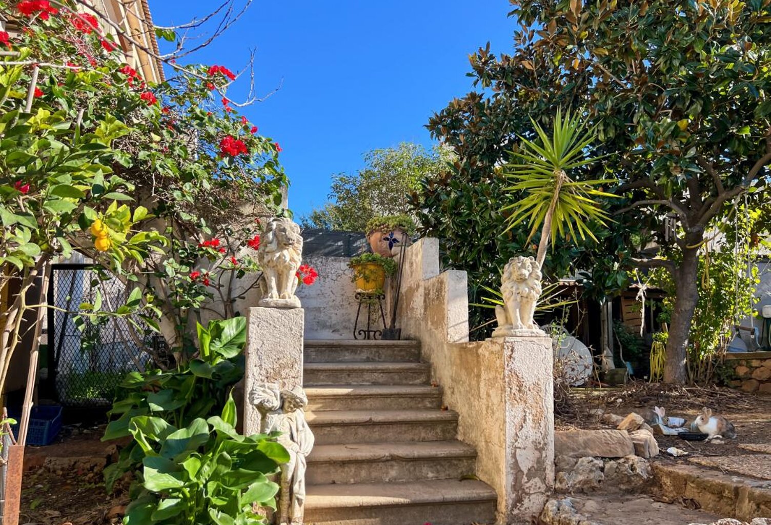 Maison à rénover à Saint Raphael — photo 1