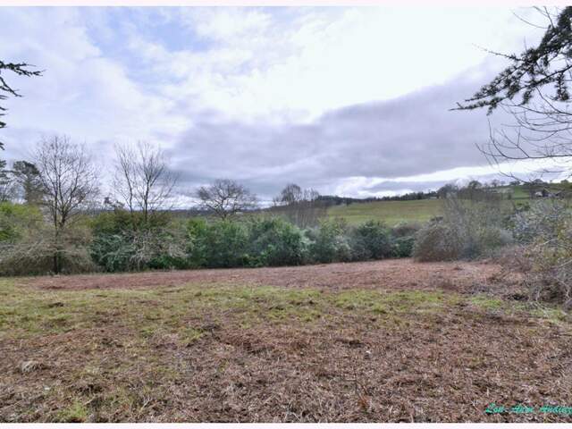 MONEIN TERRAIN CONSTRUCTIBLE 1380 m² — photo du bien