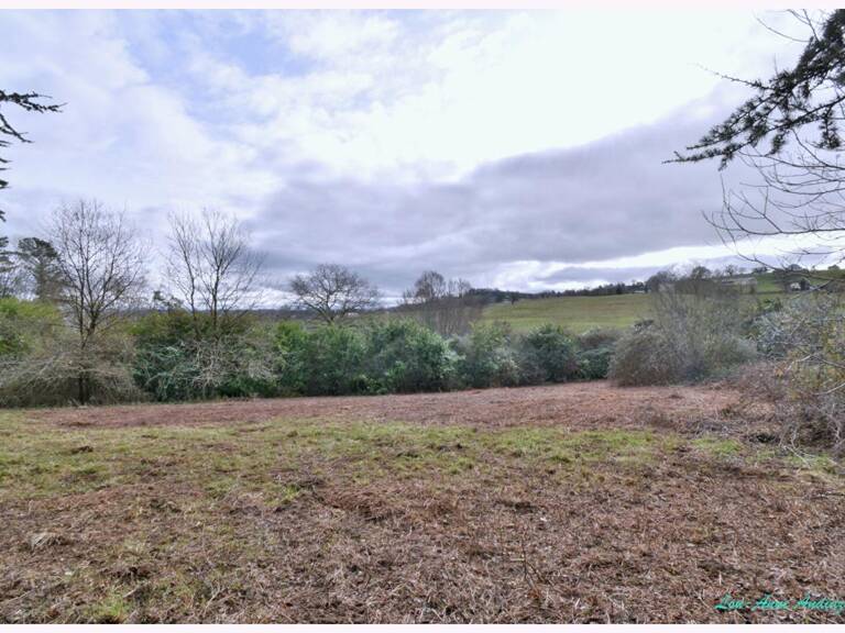 MONEIN TERRAIN CONSTRUCTIBLE 1380 m² — photo 1