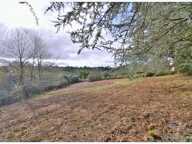MONEIN TERRAIN CONSTRUCTIBLE 1380 m² — photo 2