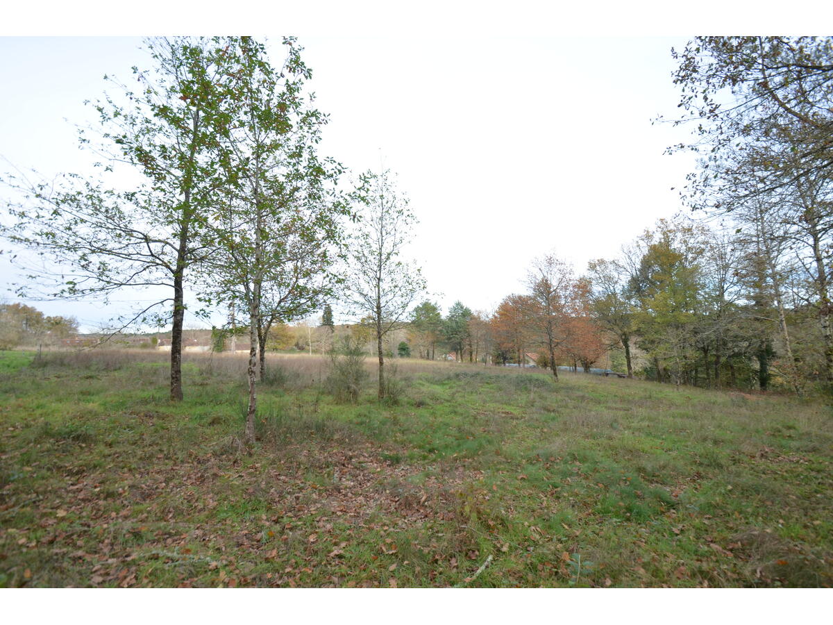 Terrain  à vendre Saint-Jean-d'Ataux 24190