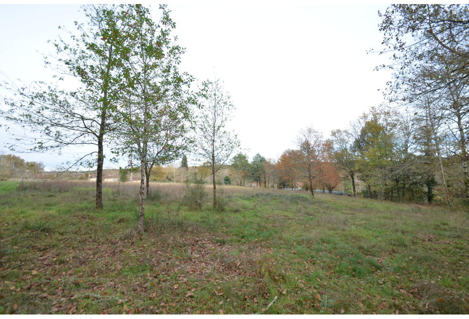 Terrain — photo 1