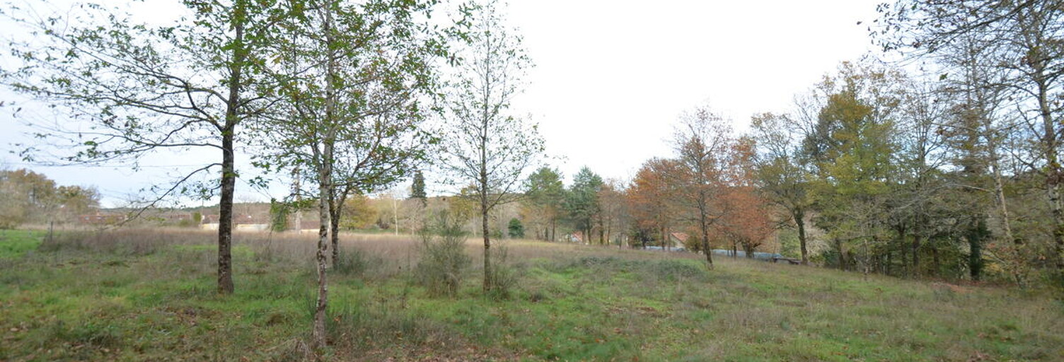 Terrain  4424 m² à vendre à Saint-Jean-d'Ataux (24190)