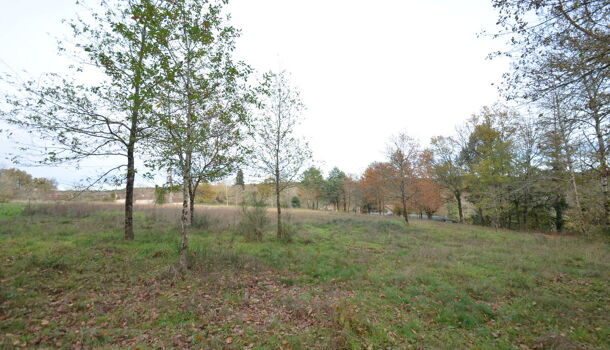 Terrain  à vendre Saint-Jean-d'Ataux 24190