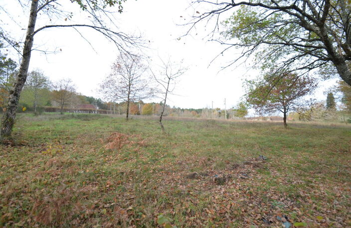 Terrain — photo 2