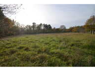 Terrain — photo 3