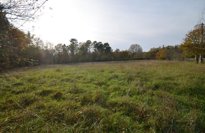 Terrain — photo 3