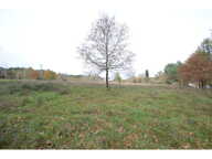 Terrain — photo 4