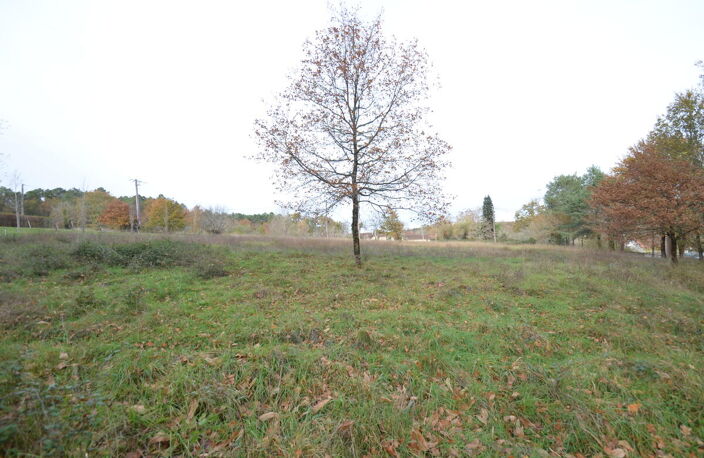 Terrain — photo 4