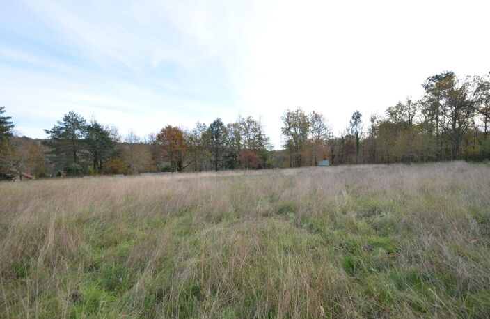 Terrain — photo 5