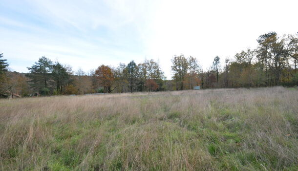 Terrain  à vendre Saint-Jean-d'Ataux 24190