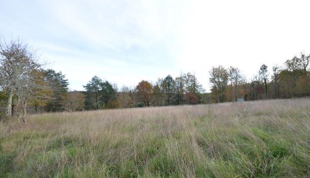 Terrain  à vendre Saint-Jean-d'Ataux 24190