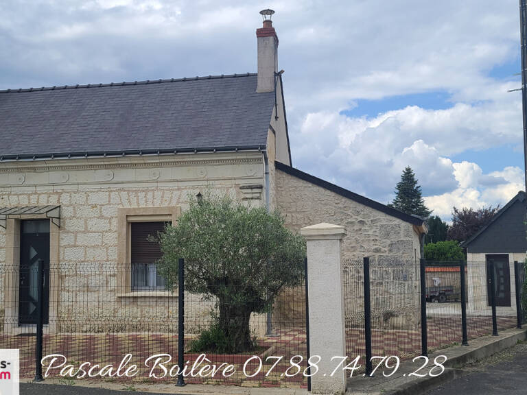 VERNANTES (49390)  ? Ensemble de deux maisons à 15 minutes de Saumur — photo 1