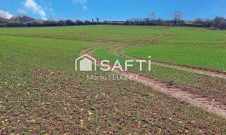 Terrain  12700 m² à vendre à Mareuil-sur-Lay-Dissais (85320)