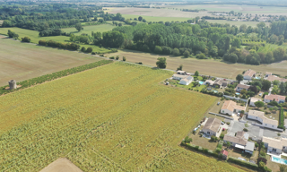 Terrain  400 m² à vendre à Surgères (17700)